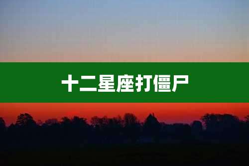 十二星座打僵尸