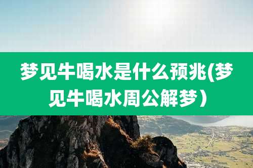 梦见牛喝水是什么预兆(梦见牛喝水周公解梦)