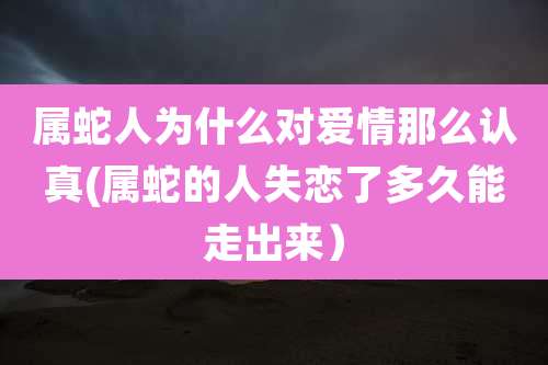 属蛇人为什么对爱情那么认真(属蛇的人失恋了多久能走出来)