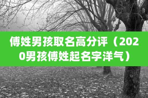 傅姓男孩取名高分评(2020男孩傅姓起名字洋气)