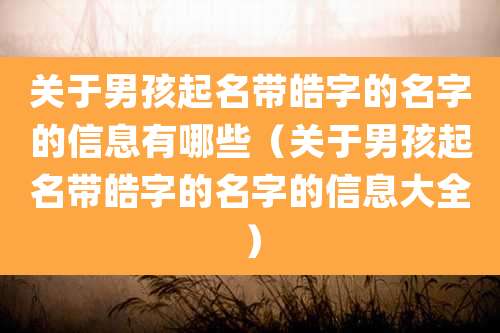 关于男孩起名带皓字的名字的信息有哪些(关于男孩起名带皓字的名字的信息大全)