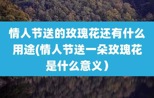 情人节送的玫瑰花还有什么用途(情人节送一朵玫瑰花是什么意义）