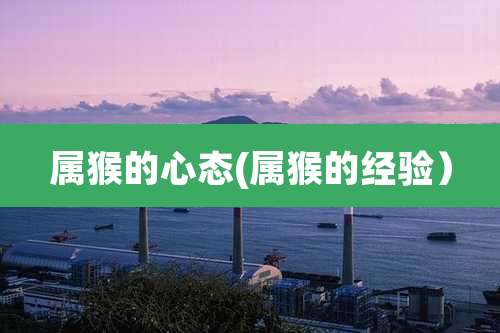 属猴的心态(属猴的经验)