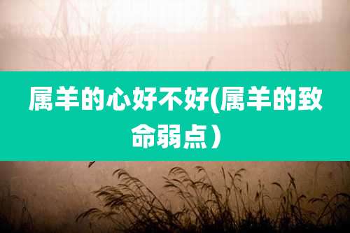 属羊的心好不好(属羊的致命弱点)