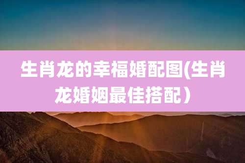 生肖龙的幸福婚配图(生肖龙婚姻最佳搭配)