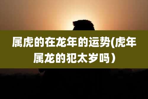 属虎的在龙年的运势(虎年属龙的犯太岁吗)