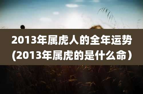 2013年属虎人的全年运势(2013年属虎的是什么命)