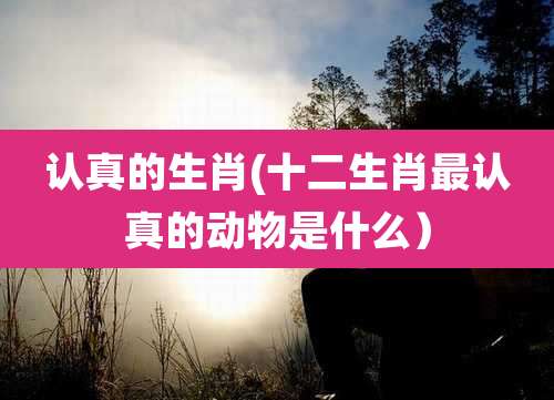 认真的生肖(十二生肖最认真的动物是什么）