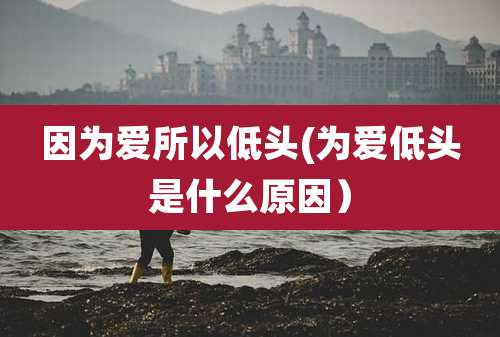 因为爱所以低头(为爱低头是什么原因)