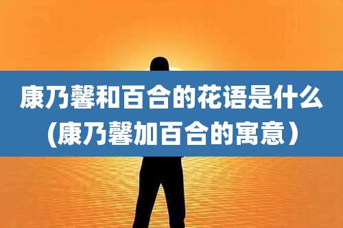 康乃馨和百合的花语是什么(康乃馨加百合的寓意)