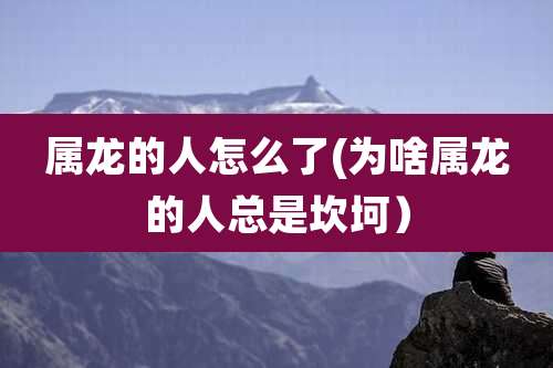 属龙的人怎么了(为啥属龙的人总是坎坷)