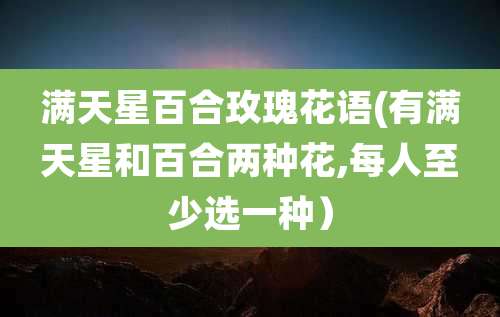 满天星百合玫瑰花语(有满天星和百合两种花,每人至少选一种)