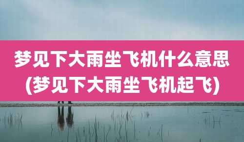 梦见下大雨坐飞机什么意思(梦见下大雨坐飞机起飞)