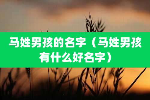 马姓男孩的名字（马姓男孩有什么好名字）