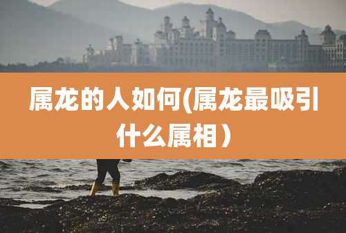 属龙的人如何(属龙最吸引什么属相)