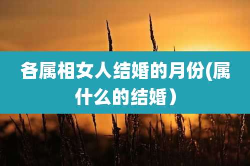 各属相女人结婚的月份(属什么的结婚)