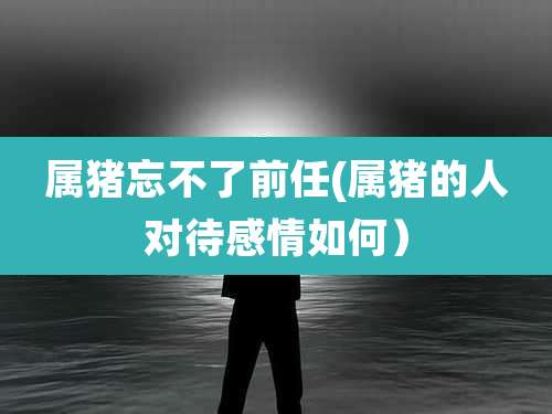 属猪忘不了前任(属猪的人对待感情如何）