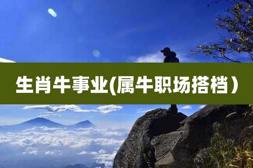 生肖牛事业(属牛职场搭档)
