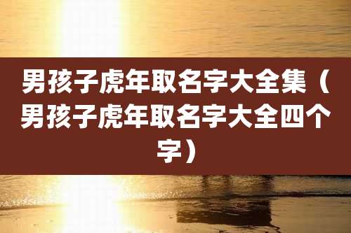 男孩子虎年取名字大全集(男孩子虎年取名字大全四个字)