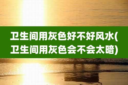 卫生间用灰色好不好风水(卫生间用灰色会不会太暗)