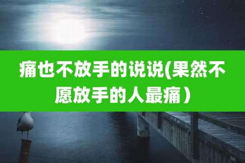 痛也不放手的说说(果然不愿放手的人最痛)