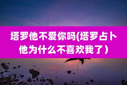 塔罗他不爱你吗(塔罗占卜他为什么不喜欢我了)