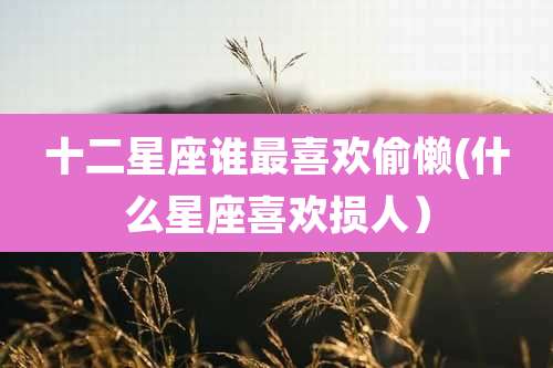 十二星座谁最喜欢偷懒(什么星座喜欢损人)