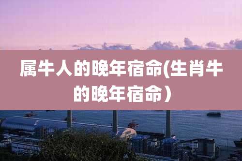 属牛人的晚年宿命(生肖牛的晚年宿命)