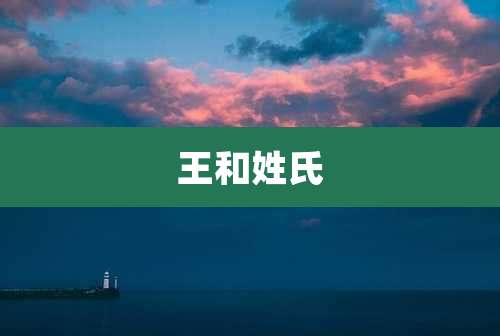 王和姓氏