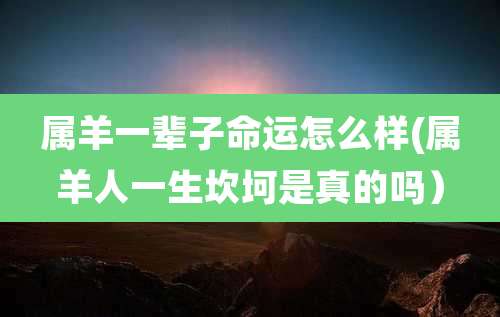 属羊一辈子命运怎么样(属羊人一生坎坷是真的吗)