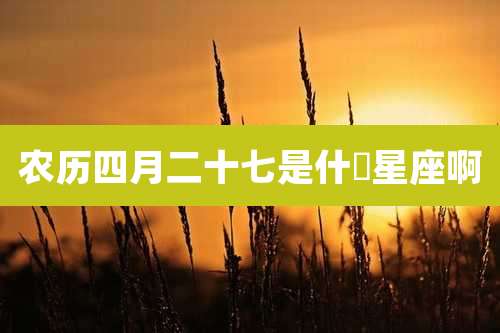 农历四月二十七是什麼星座啊