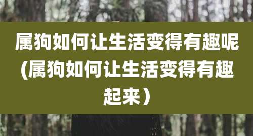 属狗如何让生活变得有趣呢(属狗如何让生活变得有趣起来)