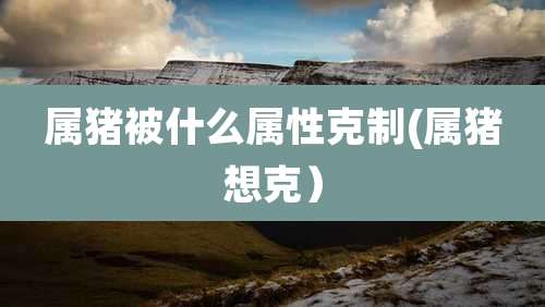 属猪被什么属性克制(属猪想克）