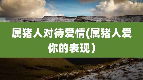 属猪人对待爱情(属猪人爱你的表现)