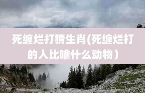 死缠烂打猜生肖(死缠烂打的人比喻什么动物）