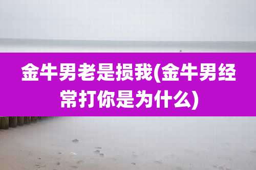 金牛男老是损我(金牛男经常打你是为什么)