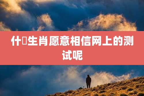 什麼生肖愿意相信网上的测试呢