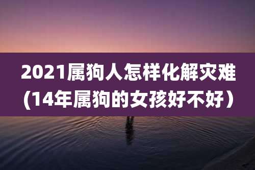 2021属狗人怎样化解灾难(14年属狗的女孩好不好)