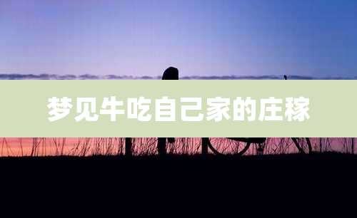 梦见牛吃自己家的庄稼