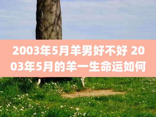 2003年5月羊男好不好 2003年5月的羊一生命运如何