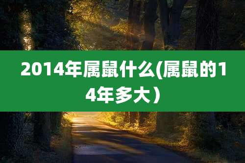2014年属鼠什么(属鼠的14年多大）