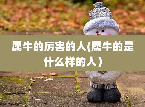 属牛的厉害的人(属牛的是什么样的人)