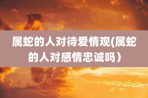 属蛇的人对待爱情观(属蛇的人对感情忠诚吗）