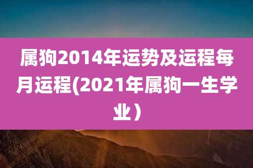 属狗2014年运势及运程每月运程(2021年属狗一生学业)