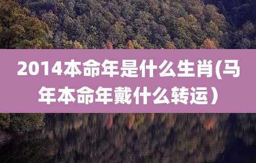 2014本命年是什么生肖(马年本命年戴什么转运)
