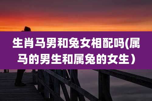 生肖马男和兔女相配吗(属马的男生和属兔的女生)