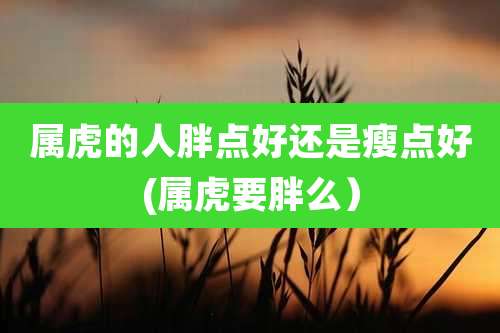 属虎的人胖点好还是瘦点好(属虎要胖么)