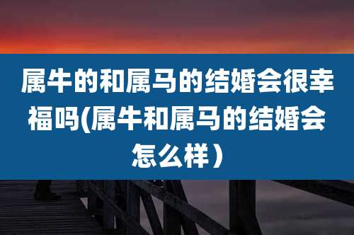 属牛的和属马的结婚会很幸福吗(属牛和属马的结婚会怎么样)