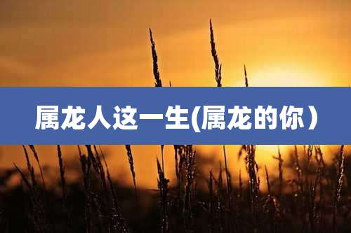 属龙人这一生(属龙的你)