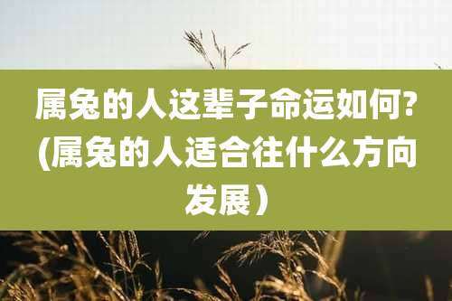 属兔的人这辈子命运如何?(属兔的人适合往什么方向发展)